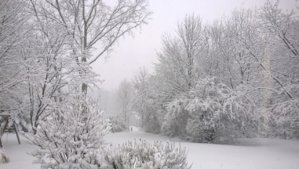 WP_20140105_007.jpg