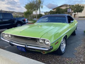 IMG_8956.jpeg