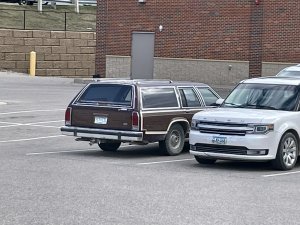 IMG_4210.jpeg