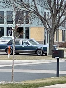 IMG_4211.jpeg