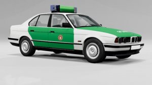 polizei2.jpg