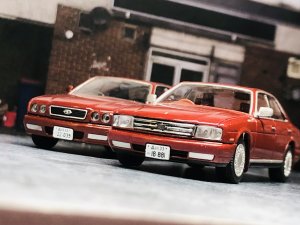 IMG_8233.jpeg