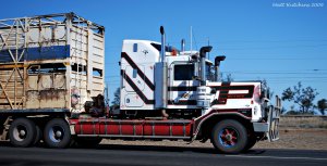 RoadTrainsofAustraliaC500T8.jpg