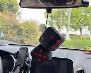 rearviewmirrorhangabledecoration.jpg