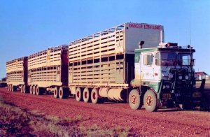 my-rendition-of-an-australian-atkinson-3800-twinsteer-v0-zz1peyb1nedc1.jpg
