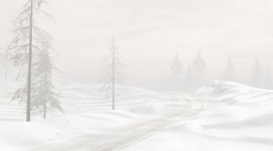 screenshot_2024-05-03_16-36-41.png