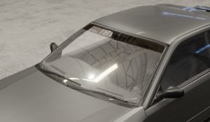 WS.jpg