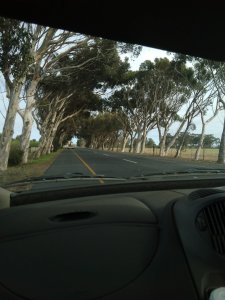 20230520_110043.jpg