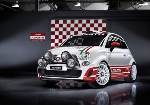 S8-Abarth-500-R3T-une-petite-pour-le-rallye-35432.jpg
