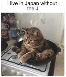 Iliveinjapan.jpg
