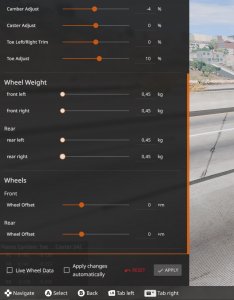 wheel_wheight_2.jpg