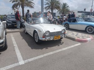IMG20240525104611.jpg