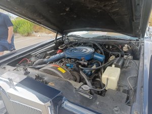IMG20240525104954.jpg