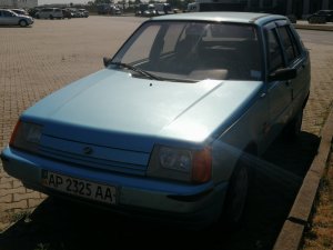 ZAZ1102_1.jpg