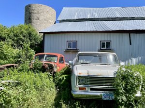IMG_5015.jpeg