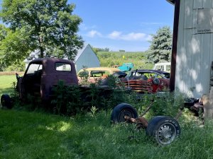 IMG_5013.jpeg