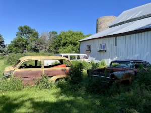 IMG_5014.jpeg