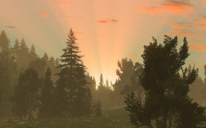 screenshot_2024-06-09_12-08-36.png