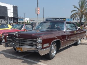 IMG_20240622_183402.jpg