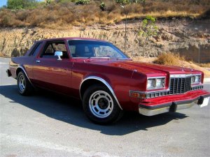 Dodge_Magum_1981_9.jpg