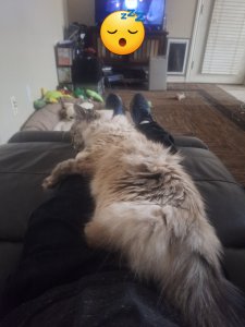 20230913_205343.jpg