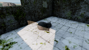 screenshot_2024-06-24_09-15-35.png