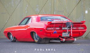 _RAY8112.jpg