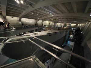 IMG_1378.jpeg
