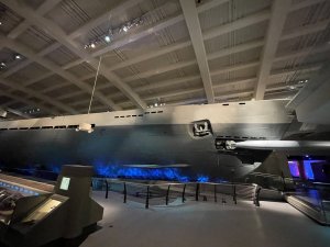 IMG_1379.jpeg