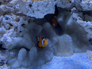 IMG_8489.jpeg