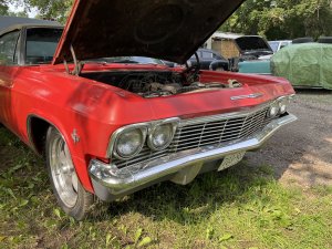 IMG_5767.jpeg