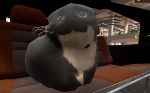 kty.png