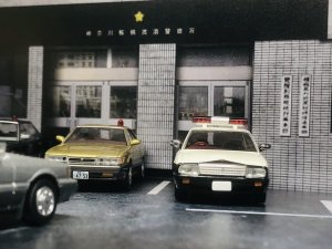 IMG_4977.jpeg