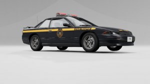 NYSP.jpg