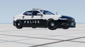 JapanesePolice.jpg