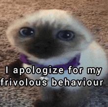 IMG_6441.gif