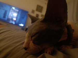 IMG20240816235409.jpg