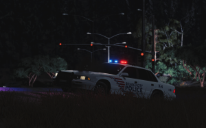 screenshot_2024-06-10_20-58-54.png