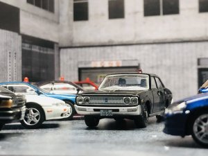 IMG_6603.jpeg