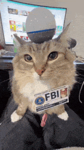 lunaistabby-luna.gif