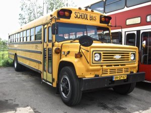 bus2.jpg