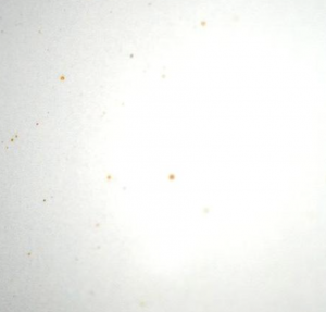 0572CB50-70C3-4145-A4CF-03BBA18A8A1F.png