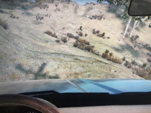 IMG_6317.jpeg