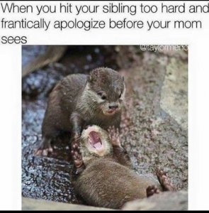 siblings97812.jpg