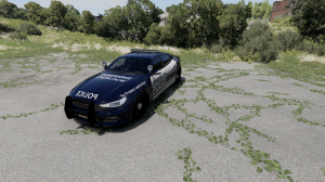 screenshot_2024-09-25_10-45-36.png