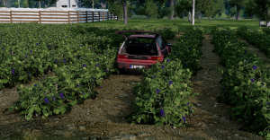 screenshot_2024-09-01_17-01-20.png