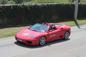 IMG_2973.jpg