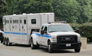 Mounted-Patrol-Unit-Truck-and-Trailer-July-14-2014.jpg