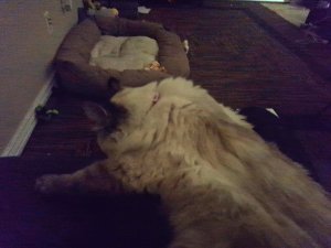 20231121_012342.jpg