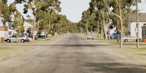 IMG_7590.jpeg